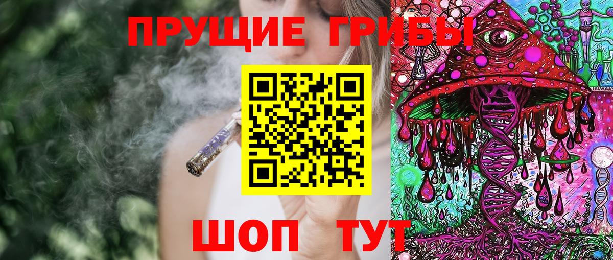 Псилоцибиновые грибы GOLDEN TEACHER Зеленокумск